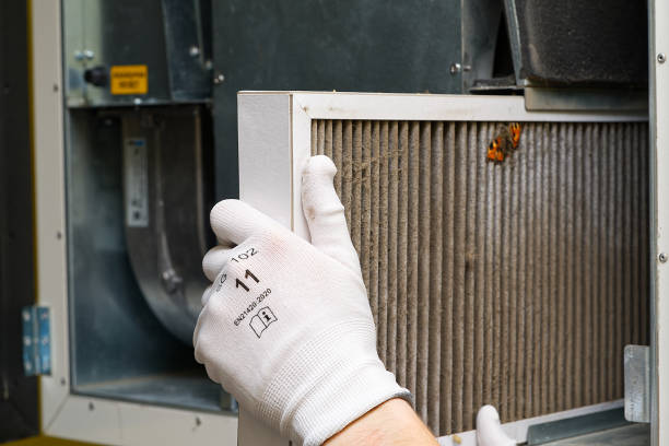 Best HVAC System Cleaning  in Columbus, KS
